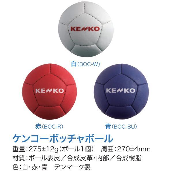 ナガセケンコー(NAGASEKENKO) ケンコーボッチャボール 公認品 1個 | SPORTS-DRECOME.COM ONLINE SHOP